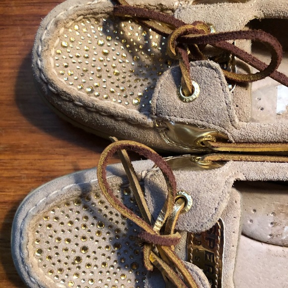 Sperry Angelfishes - Picture 4 of 4